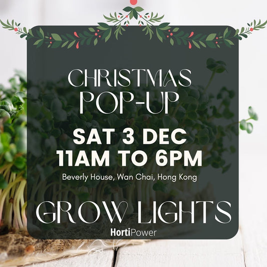 3 December Christmas Pop-Up Fair in Hong Kong by Garage Society
