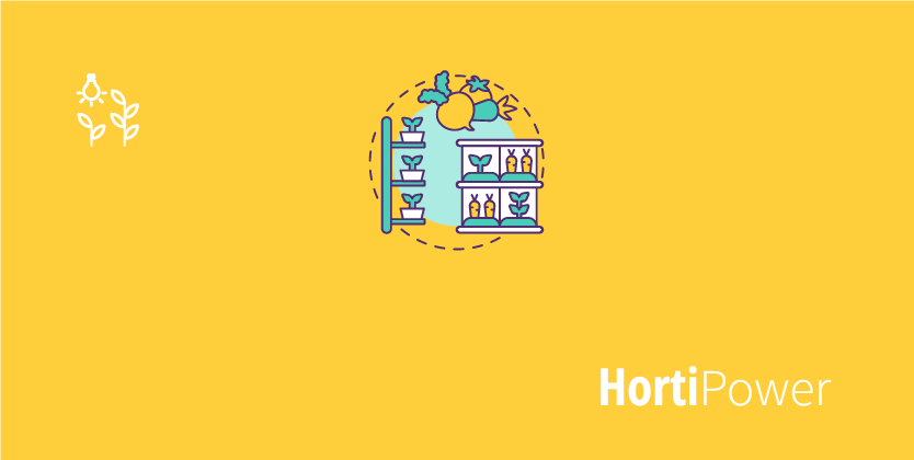 HOME: Hydroponics for beginners | how to get started