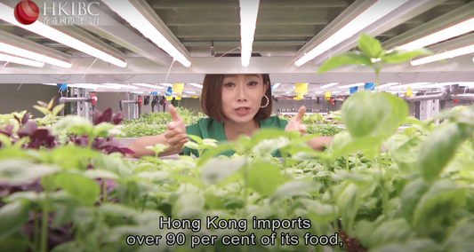 All About Money | Growing greens indoor with Jessica Fong, founder of HK's Common Farms
