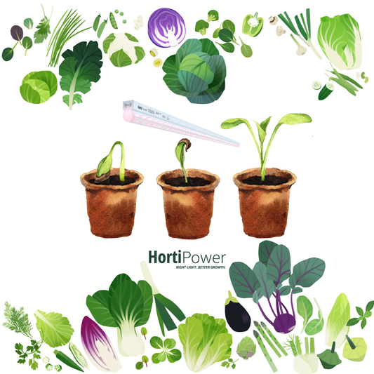 Grow light for seedlings