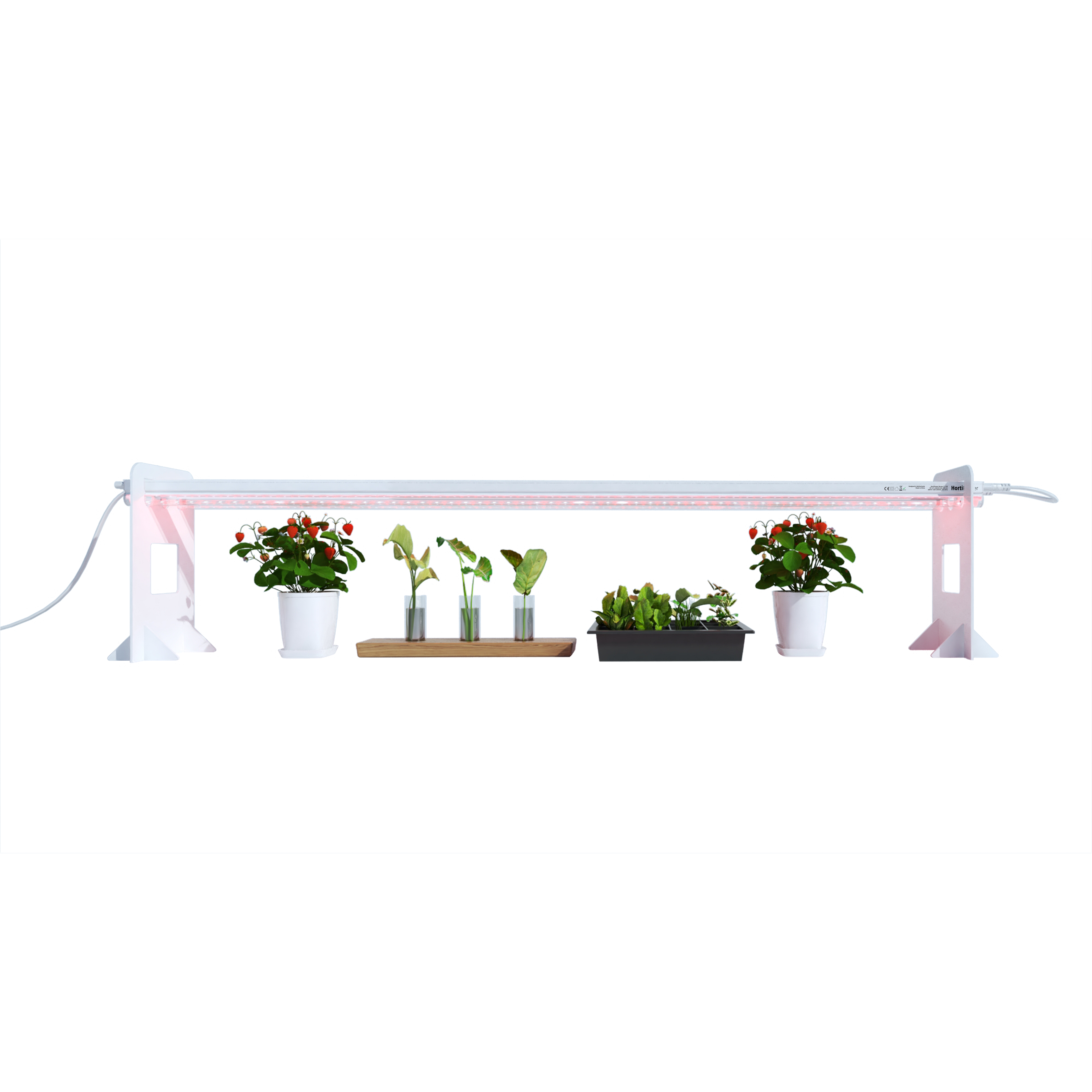 grow light kit for indoor plants HortiPower grow lights HOME (120cm) 2x120cm