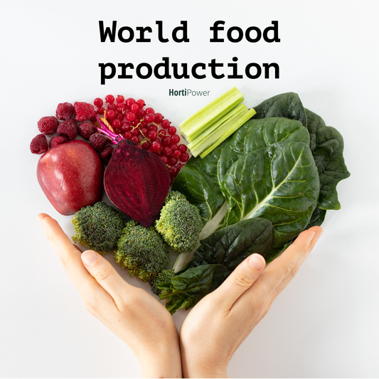 World food production challenge