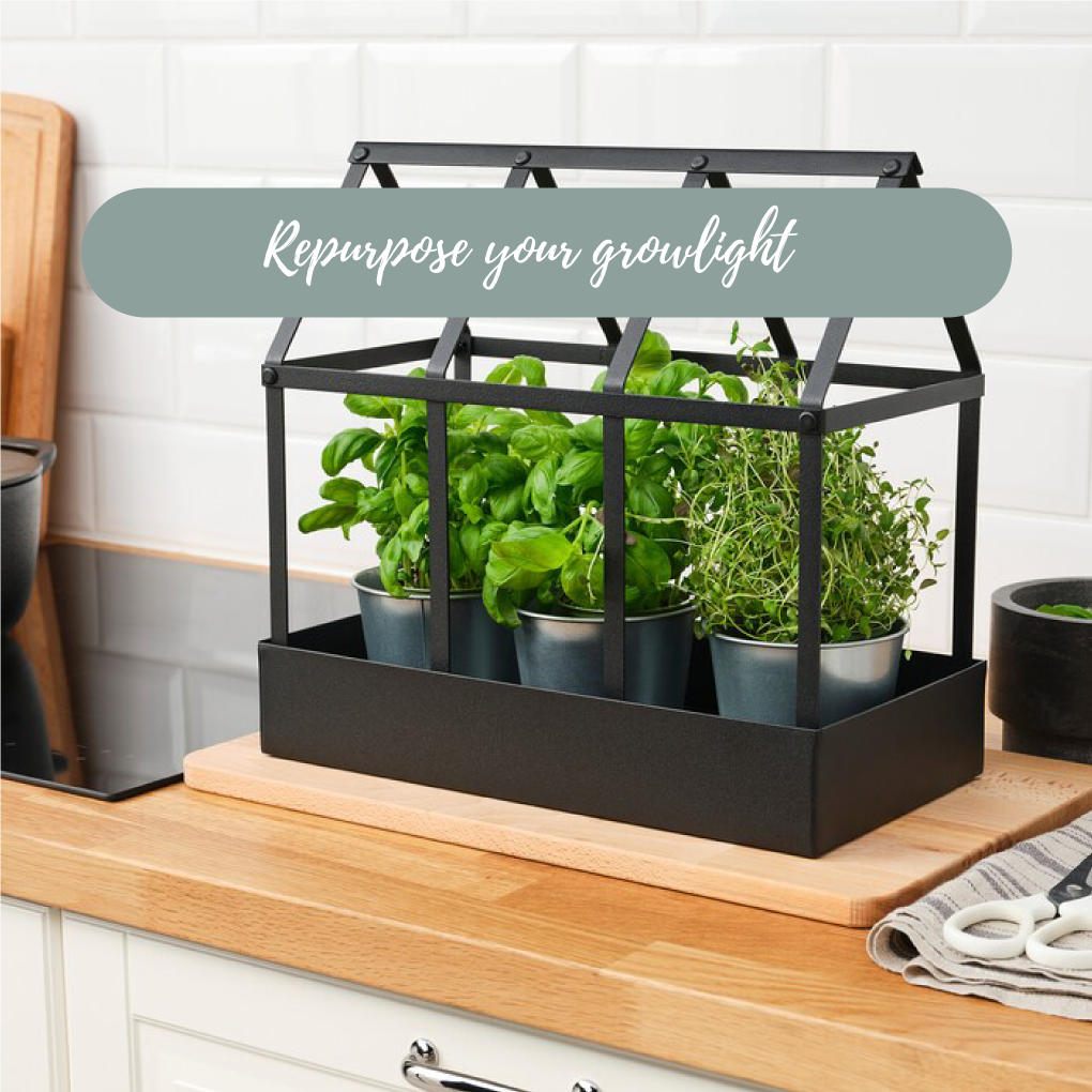 Greening Your Space: How to Create Indoor Gardens and repurpose Lights into Grow Lights