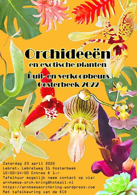 Join us at the Orchid community in Arnhem