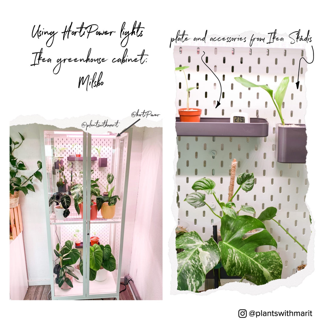 IKEA Greenhouse cabinet by @plantswithmarit using lighting by HortiPower