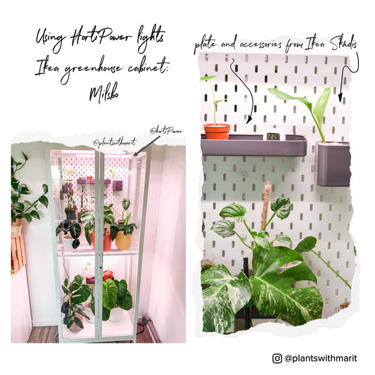 IKEA Greenhouse cabinet by @plantswithmarit using lighting by HortiPower