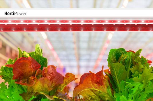 How to understand professional plant centric lighting?