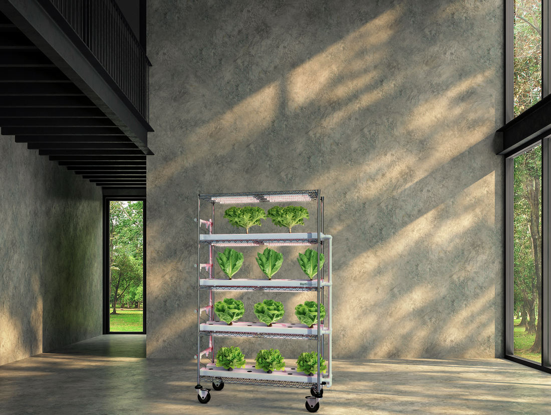 Grow your own. Grow where you are.