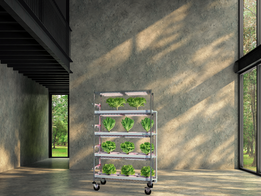 Grow your own. Grow where you are.