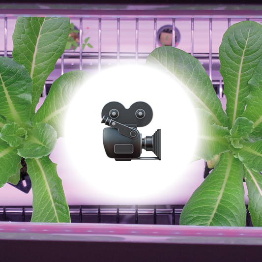 How to shoot smooth videos of your plants and grow lights with no flickering? (use 25fps)