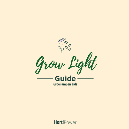 Your guide to plant lighting at Home