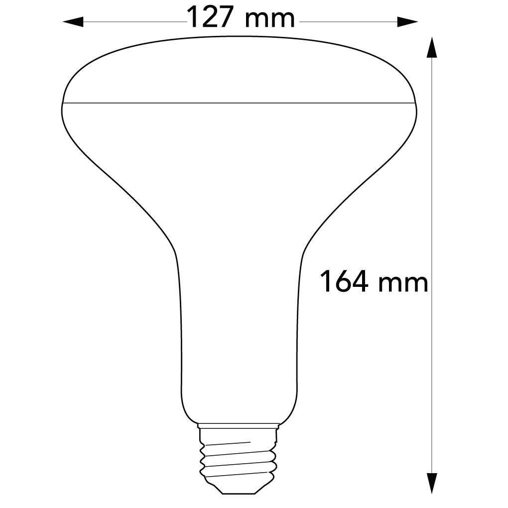 Bloomer Pro product dimensions