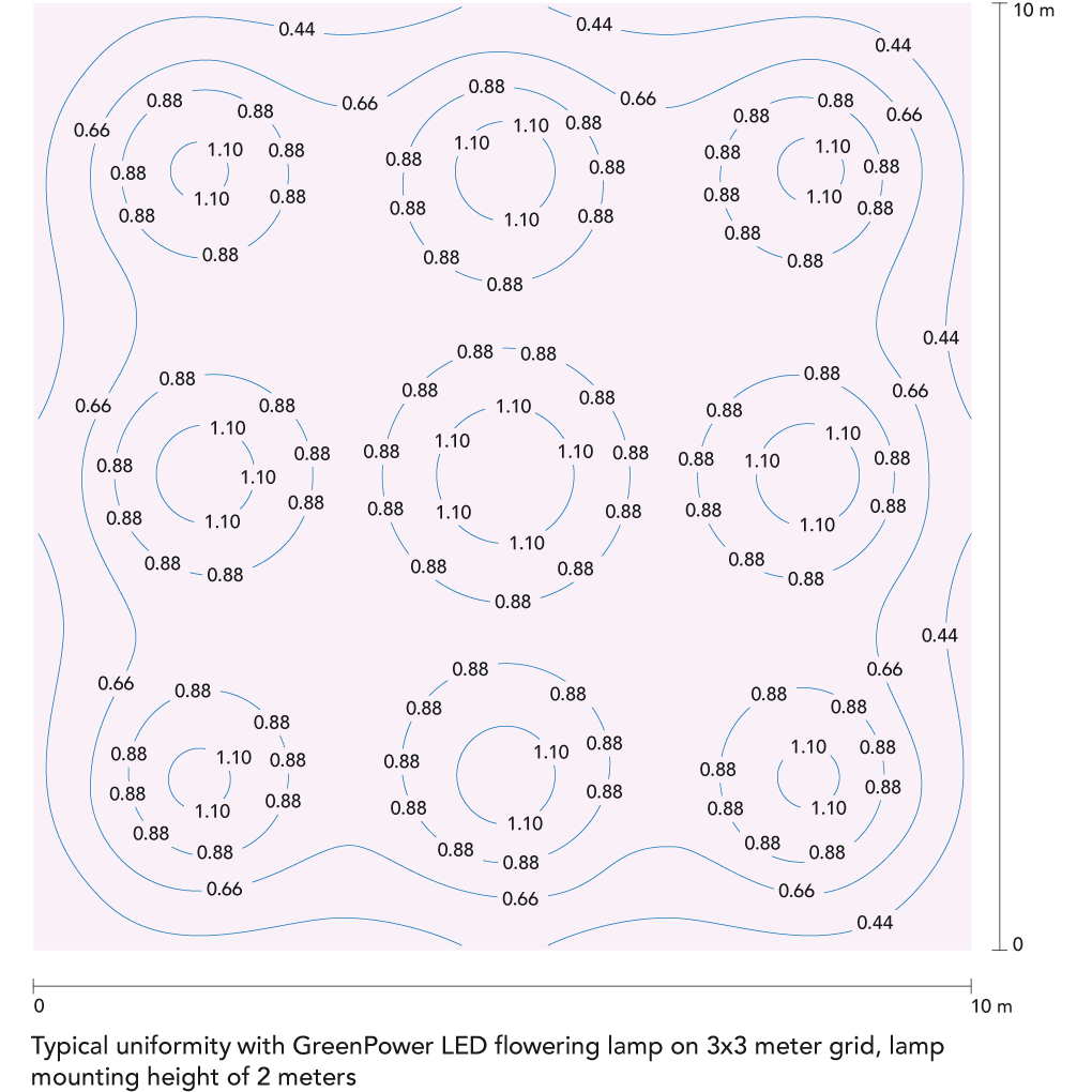 An overview of lighting uniformity with Bloomer Pro