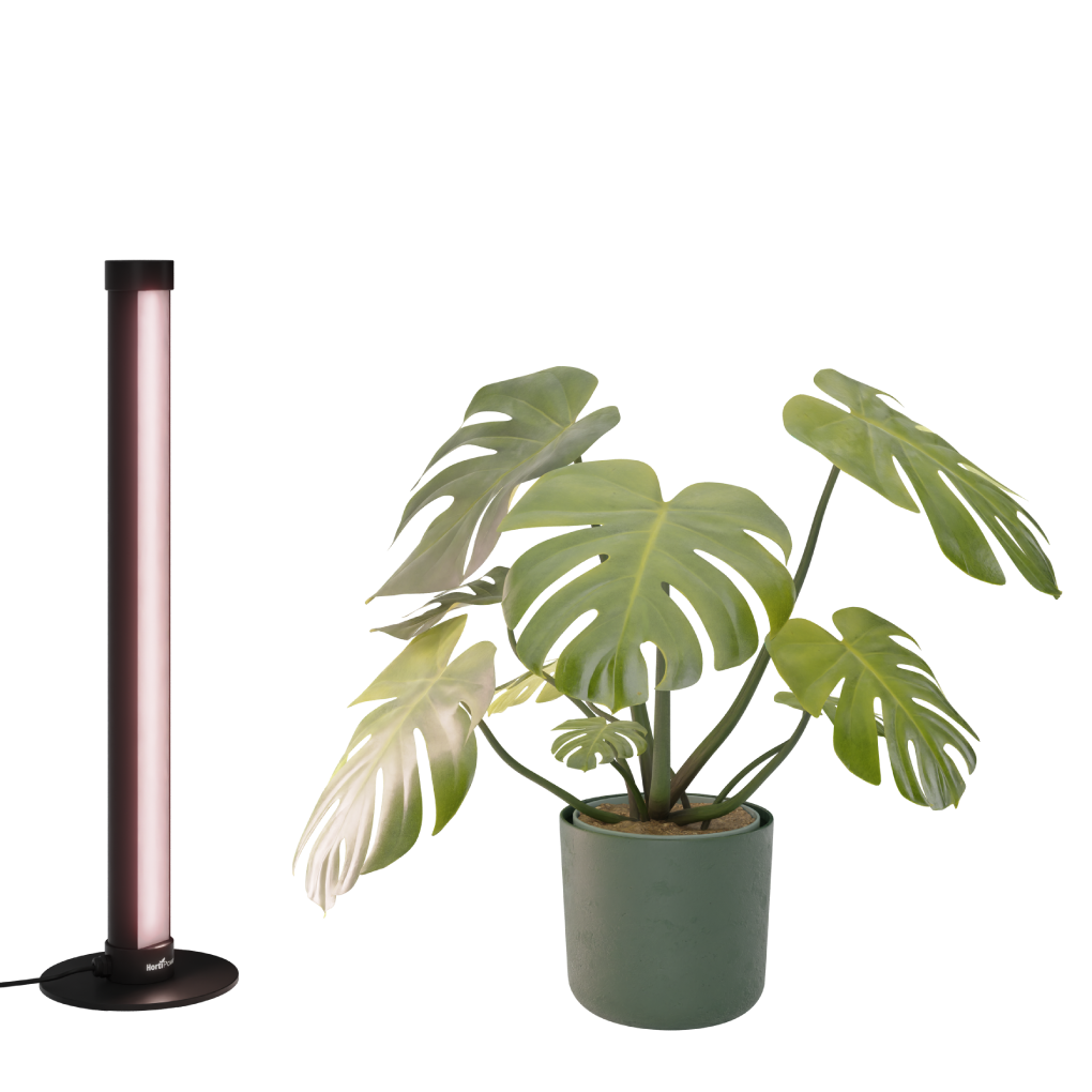 PlantParent growlight with monstera in a vertical stand, measuring 428mm.