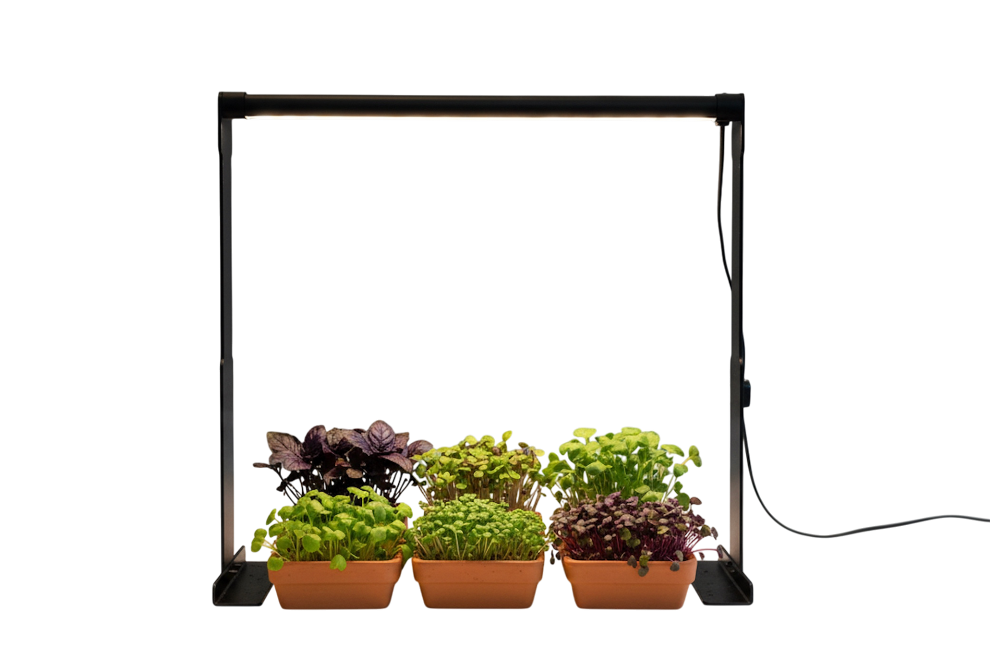 hiro plant grow light HortiPower PlantParent Grow light (EU plug only)