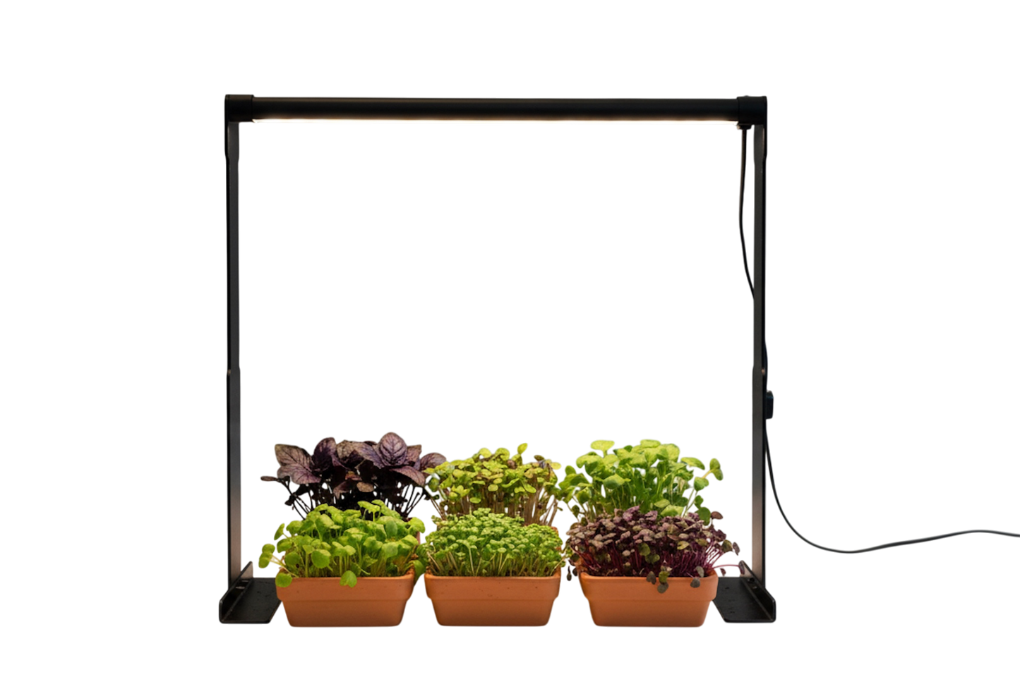 HortiPower PlantParent Grow light (EU plug only)