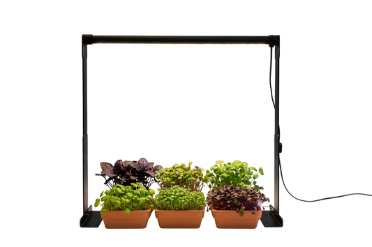 HortiPower PlantParent kweeklamp