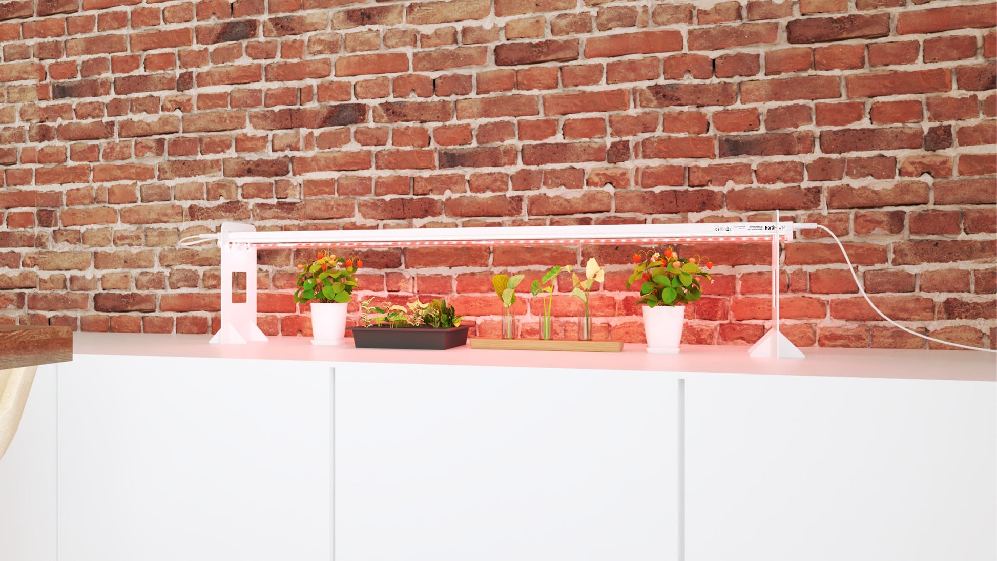 Image of the HortiPower grow lights HOME (120cm) at home