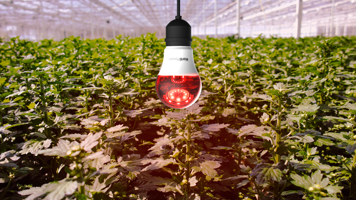 HortiPower Bloomer, Flowering light E27 5W to delay flowering