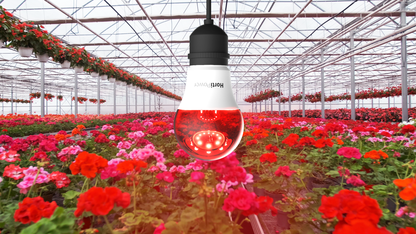 HortiPower Bloomer, Flowering light E27 5W to stimulate flowering