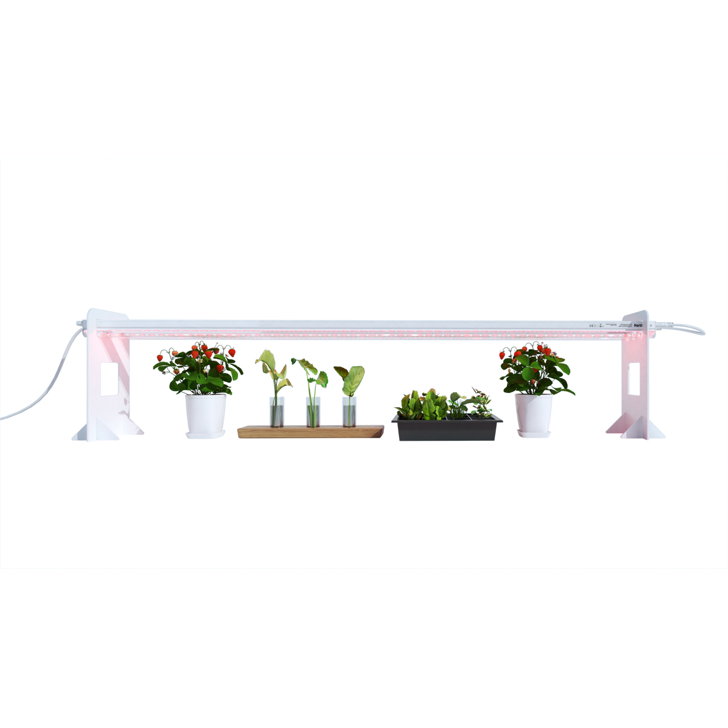 Image of the HortiPower grow lights HOME (120cm) - two lights, each measuring 120cm