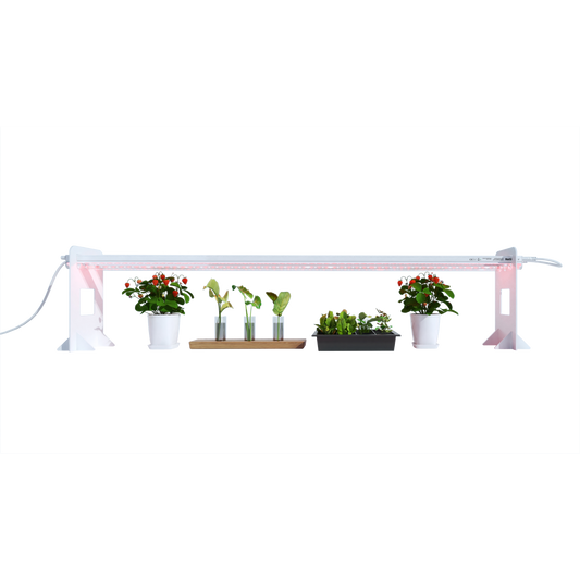 Image of the HortiPower grow lights HOME (120cm) - two lights, each measuring 120cm