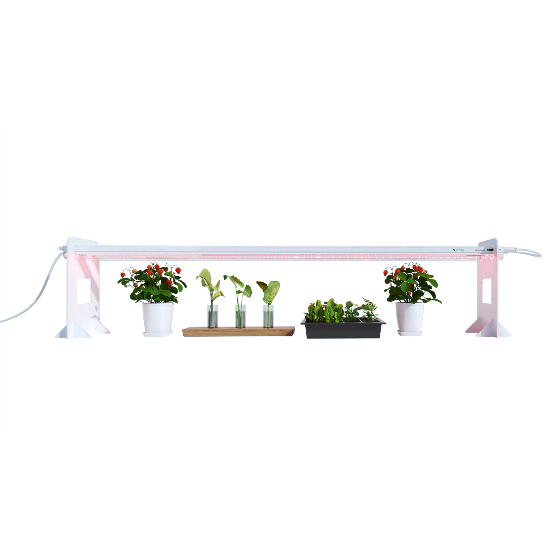 Image of the HortiPower grow lights HOME (120cm) - two lights, each measuring 120cm